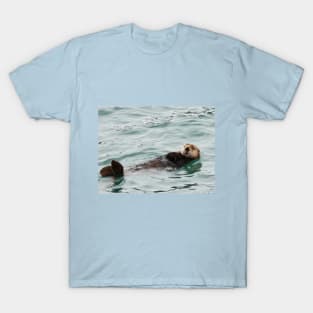 Otter 1 T-Shirt